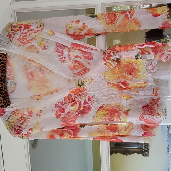 Beautiful cache semi share blouse - Picture 2 of 4